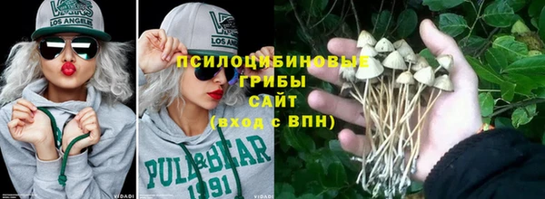 PSILOCYBIN Алексин