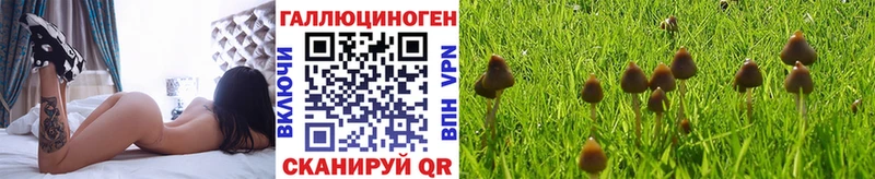цена   Аркадак  Галлюциногенные грибы мухоморы 